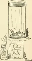 An illustration from For playground, field, and forest; the outdoor handy book (1900)