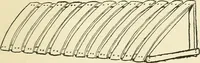 An illustration from For playground, field, and forest; the outdoor handy book (1900)
