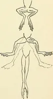 An illustration from For playground, field, and forest; the outdoor handy book (1900)