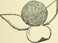 An illustration from For playground, field, and forest; the outdoor handy book (1900)
