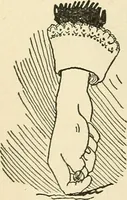 An illustration from For playground, field, and forest; the outdoor handy book (1900)