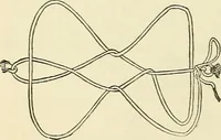 An illustration from For playground, field, and forest; the outdoor handy book (1900)