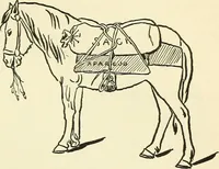 An illustration from For playground, field, and forest; the outdoor handy book (1900)
