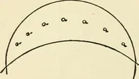 An illustration from For playground, field, and forest; the outdoor handy book (1900)