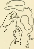 An illustration from For playground, field, and forest; the outdoor handy book (1900)