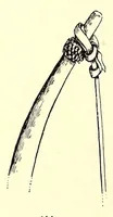 An illustration from Forschungen im Nil-Kongo-Zwischengebiet (1911)