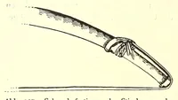 An illustration from Forschungen im Nil-Kongo-Zwischengebiet (1911)