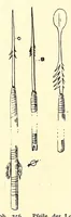 An illustration from Forschungen im Nil-Kongo-Zwischengebiet (1911)