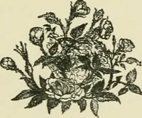 An illustration from Fors clavigera : letters to the workmen and labourers of Great Britain (1896)