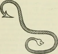 An illustration from Fors clavigera : letters to the workmen and labourers of Great Britain (1896)