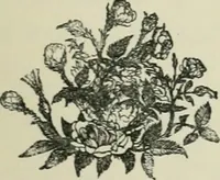 An illustration from Fors clavigera : letters to the workmen and labourers of Great Britain (1896)