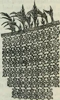 An illustration from Fors clavigera. Letters to the workmen and labourers of Great Britain (1900)