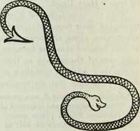 An illustration from Fors clavigera. Letters to the workmen and labourers of Great Britain (1900)