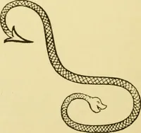 An illustration from Fors clavigera : letters to the workmen and labourers of Great Britain (1894)