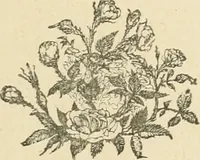An illustration from Fors clavigera. Letters to the workmen and labourers of Great Britain (1871)