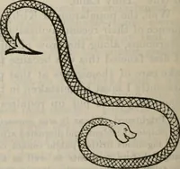An illustration from Fors clavigera : letters to the workmen and labourers of Great Britain (1886)