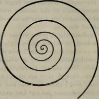 An illustration from Fors clavigera : letters to the workmen and labourers of Great Britain : Volume 3 & 4 (1886)
