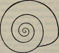 An illustration from Fors clavigera : letters to the workmen and labourers of Great Britain : Volume 3 & 4 (1886)