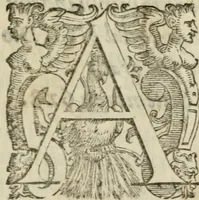 An illustration from Fortezza reale del cuore humano : battuta soauemente, saettata amorosamente, superata gloriosamente, e posseduta & ornata gratiosamente dall' amoroso Giesù : disegnata in figure con alcune brieui ma affettuose meditationi et altri tanti soliloquij (1628)
