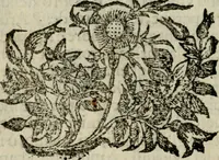 Picture 52 of 53 from Fortezza reale del cuore humano : battuta soauemente, saettata amorosamente, superata gloriosamente, e posseduta & ornata gratiosamente dall' amoroso Giesù : disegnata in figure con alcune brieui ma affettuose meditationi et altri tanti soliloquij (1628), leaf 113