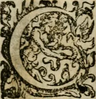 An illustration from Fortezza reale del cuore humano : battuta soauemente, saettata amorosamente, superata gloriosamente, e posseduta & ornata gratiosamente dall' amoroso Giesù : disegnata in figure con alcune brieui ma affettuose meditationi et altri tanti soliloquij (1628)