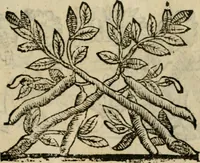 An illustration from Fortezza reale del cuore humano : battuta soauemente, saettata amorosamente, superata gloriosamente, e posseduta & ornata gratiosamente dall' amoroso Giesù : disegnata in figure con alcune brieui ma affettuose meditationi et altri tanti soliloquij (1628)