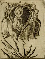 Picture 17 of 53 from Fortezza reale del cuore humano : battuta soauemente, saettata amorosamente, superata gloriosamente, e posseduta & ornata gratiosamente dall' amoroso Giesù : disegnata in figure con alcune brieui ma affettuose meditationi et altri tanti soliloquij (1628), leaf 39