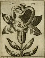 Picture 22 of 53 from Fortezza reale del cuore humano : battuta soauemente, saettata amorosamente, superata gloriosamente, e posseduta & ornata gratiosamente dall' amoroso Giesù : disegnata in figure con alcune brieui ma affettuose meditationi et altri tanti soliloquij (1628), leaf 45