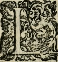 An illustration from Fortezza reale del cuore humano : battuta soauemente, saettata amorosamente, superata gloriosamente, e posseduta & ornata gratiosamente dall' amoroso Giesù : disegnata in figure con alcune brieui ma affettuose meditationi et altri tanti soliloquij (1628)