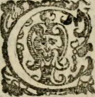 An illustration from Fortezza reale del cuore humano : battuta soauemente, saettata amorosamente, superata gloriosamente, e posseduta & ornata gratiosamente dall' amoroso Giesù : disegnata in figure con alcune brieui ma affettuose meditationi et altri tanti soliloquij (1628)