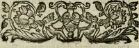 An illustration from Fortezza reale del cuore humano : battuta soauemente, saettata amorosamente, superata gloriosamente, e posseduta & ornata gratiosamente dall' amoroso Giesù : disegnata in figure con alcune brieui ma affettuose meditationi et altri tanti soliloquij (1628)