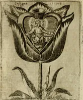 Picture 34 of 53 from Fortezza reale del cuore humano : battuta soauemente, saettata amorosamente, superata gloriosamente, e posseduta & ornata gratiosamente dall' amoroso Giesù : disegnata in figure con alcune brieui ma affettuose meditationi et altri tanti soliloquij (1628), leaf 73