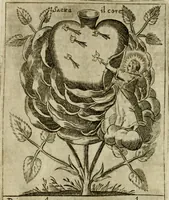 An illustration from Fortezza reale del cuore humano : battuta soauemente, saettata amorosamente, superata gloriosamente, e posseduta & ornata gratiosamente dall' amoroso Giesù : disegnata in figure con alcune brieui ma affettuose meditationi et altri tanti soliloquij (1628)
