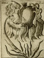 An illustration from Fortezza reale del cuore humano : battuta soauemente, saettata amorosamente, superata gloriosamente, e posseduta & ornata gratiosamente dall' amoroso Giesù : disegnata in figure con alcune brieui ma affettuose meditationi et altri tanti soliloquij (1628)
