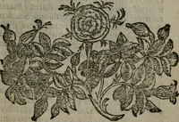 An illustration from Fortezza reale del cuore humano : battuta soauemente, saettata amorosamente, superata gloriosamente, e posseduta & ornata gratiosamente dall' amoroso Giesù : disegnata in figure con alcune brieui ma affettuose meditationi et altri tanti soliloquij (1628)