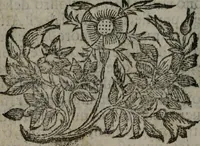 An illustration from Fortezza reale del cuore humano : battuta soauemente, saettata amorosamente, superata gloriosamente, e posseduta & ornata gratiosamente dall' amoroso Giesù : disegnata in figure con alcune brieui ma affettuose meditationi et altri tanti soliloquij (1628)