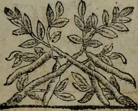 An illustration from Fortezza reale del cuore humano : battuta soauemente, saettata amorosamente, superata gloriosamente, e posseduta & ornata gratiosamente dall' amoroso Giesù : disegnata in figure con alcune brieui ma affettuose meditationi et altri tanti soliloquij (1628)