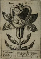 Picture 21 of 57 from Fortezza reale del cuore humano : battuta soauemente, saettata amorosamente, superata gloriosamente, e posseduta & ornata gratiosamente dall' amoroso Giesù : disegnata in figure con alcune brieui ma affettuose meditationi et altri tanti soliloquij (1628), leaf 43