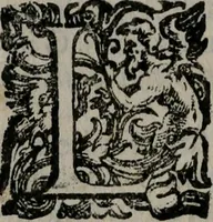 An illustration from Fortezza reale del cuore humano : battuta soauemente, saettata amorosamente, superata gloriosamente, e posseduta & ornata gratiosamente dall' amoroso Giesù : disegnata in figure con alcune brieui ma affettuose meditationi et altri tanti soliloquij (1628)