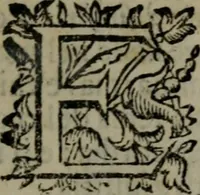 An illustration from Fortezza reale del cuore humano : battuta soauemente, saettata amorosamente, superata gloriosamente, e posseduta & ornata gratiosamente dall' amoroso Giesù : disegnata in figure con alcune brieui ma affettuose meditationi et altri tanti soliloquij (1628)