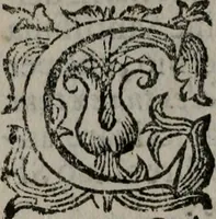 An illustration from Fortezza reale del cuore humano : battuta soauemente, saettata amorosamente, superata gloriosamente, e posseduta & ornata gratiosamente dall' amoroso Giesù : disegnata in figure con alcune brieui ma affettuose meditationi et altri tanti soliloquij (1628)
