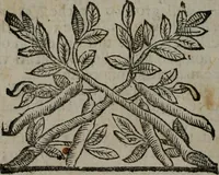 An illustration from Fortezza reale del cuore humano : battuta soauemente, saettata amorosamente, superata gloriosamente, e posseduta & ornata gratiosamente dall' amoroso Giesù : disegnata in figure con alcune brieui ma affettuose meditationi et altri tanti soliloquij (1628)