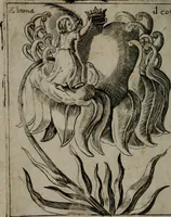 Picture 48 of 57 from Fortezza reale del cuore humano : battuta soauemente, saettata amorosamente, superata gloriosamente, e posseduta & ornata gratiosamente dall' amoroso Giesù : disegnata in figure con alcune brieui ma affettuose meditationi et altri tanti soliloquij (1628), leaf 95