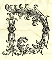 Picture 18 of 24 from Fortificazione a rovescio (1678), leaf 127