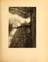 An illustration from Fort Tryon Hall, the residence of C.K G. Billings, esq. : a descriptive and illustrated catalogue (1911)
