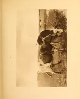 An illustration from Fort Tryon Hall, the residence of C.K G. Billings, esq. : a descriptive and illustrated catalogue (1911)