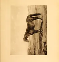 Picture 79 of 85 from Fort Tryon Hall, the residence of C.K G. Billings, esq. : a descriptive and illustrated catalogue (1911), leaf 367