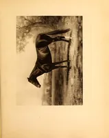 An illustration from Fort Tryon Hall, the residence of C.K G. Billings, esq. : a descriptive and illustrated catalogue (1911)