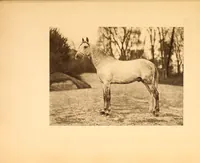 An illustration from Fort Tryon Hall, the residence of C.K G. Billings, esq. : a descriptive and illustrated catalogue (1911)