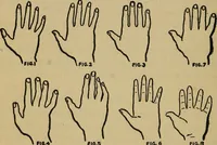 An illustration from Fortunes and dreams; (1917)